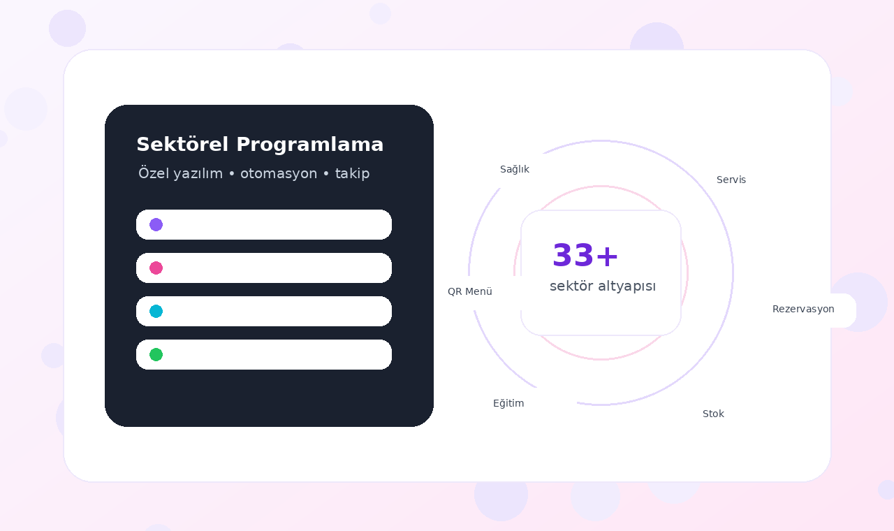 Sektörel programlama ve özel yazılım görseli